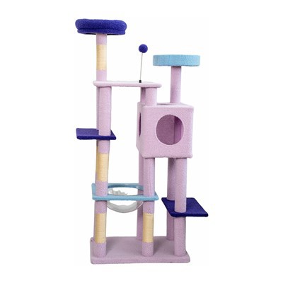 বিড়াল গাছ আসল গাছ